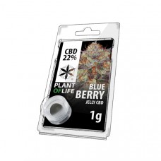 Blueberry jelly hash CBD 22%